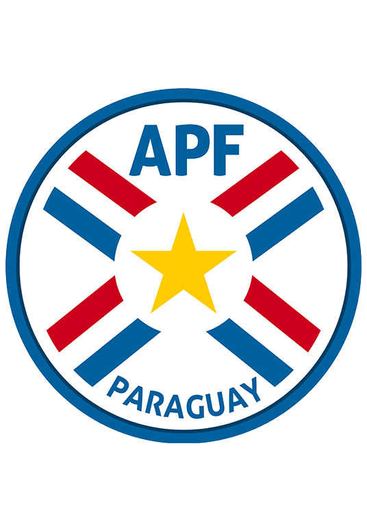 巴拉圭男子国家足球队